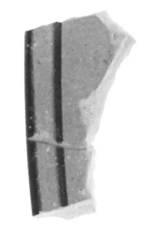 Attic Black-Figure Eye Cup Fragment