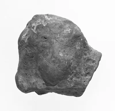 Female Head