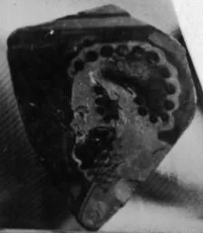 SKYPHOS, FRAGMENT (ATHENIAN, RED-FIGURE)