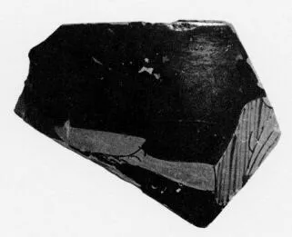 SKYPHOS, FRAGMENT (ATHENIAN, RED-FIGURE)