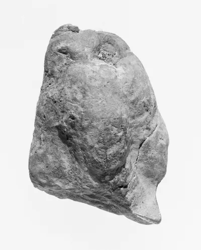 Female Head