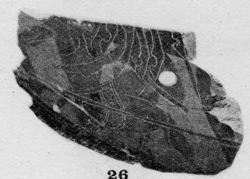 PLATE (?), FRAGMENT (ATHENIAN, BLACK-FIGURE)