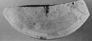 PYXIS LID, FRAGMENT (PROTOCORINTHIAN)