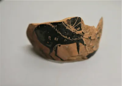 vase fermé