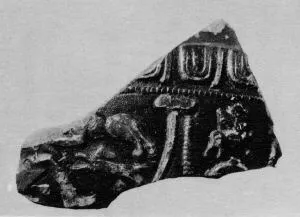 PLATE, FRAGMENT (TERRA SIGILLATA)