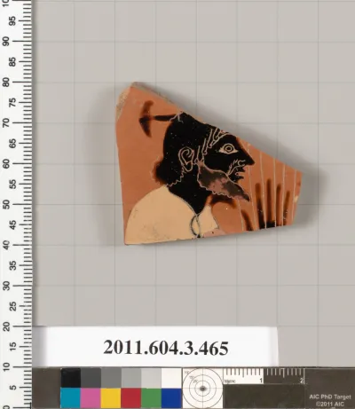 Terracotta fragment of an amphora (jar)?