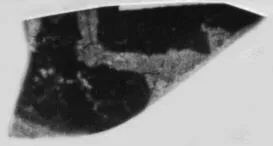 CUP, FRAGMENT (ATHENIAN, RED-FIGURE)