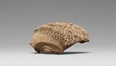 Fragment of a Male Figure
