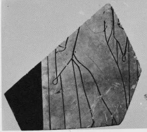 AMPHORA, BELLY, FRAGMENT (ATHENIAN, RED-FIGURE)