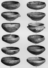 VARIOUS (DALJ)