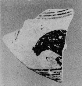 LID, FRAGMENT (PROTOATTIC, SILHOUETTE)