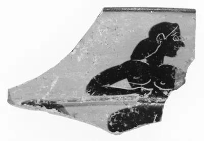 Siana Cup Fragment