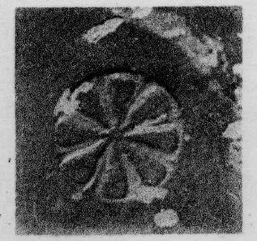 CUP, STEMLESS, FRAGMENT (SOUTH ITALIAN, CAMPANIAN, RELIEF)
