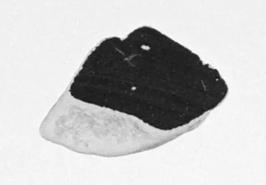 Attic Vase Fragment
