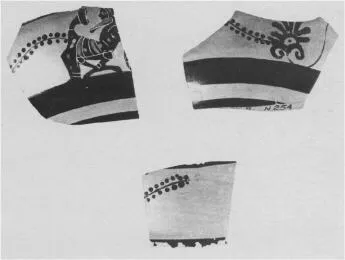SKYPHOS, FRAGMENT (ATHENIAN, BLACK-FIGURE)
