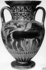 AMPHORA, NECK (ATHENIAN, BLACK-FIGURE)