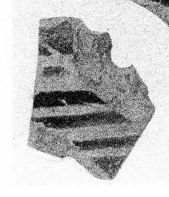 FRAGMENT (LACONIAN)