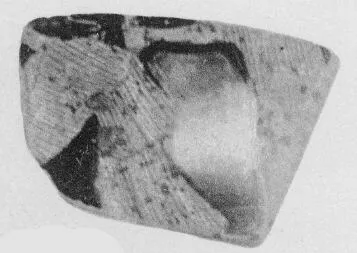 CUP, FRAGMENT (ATHENIAN, RED-FIGURE)