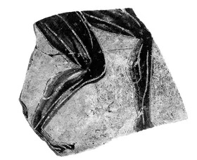 FRAGMENT (ETRUSCAN, BLACK-FIGURE)