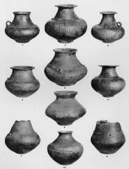 VARIOUS (DALJ)
