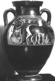 AMPHORA, BELLY, TYPE B (ATHENIAN, BLACK-FIGURE)
