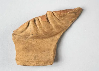 oscillum