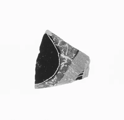 Attic Black-Figure Amphora Fragment