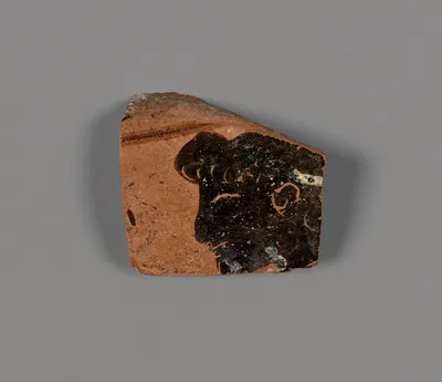 Amphora or Hydria