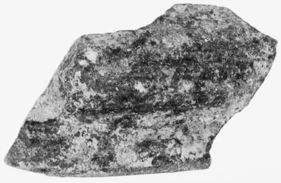 Fragment of a Small Bowl