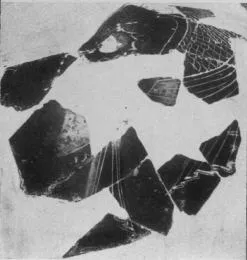 AMPHORA, PANATHENAIC PRIZE, FRAGMENT (ATHENIAN, BLACK-FIGURE)