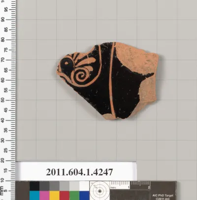 Terracotta fragment of a kylix (drinking cup)