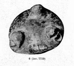 FRAGMENT (SOUTH ITALIAN, APULIAN, BLACK GLAZE)