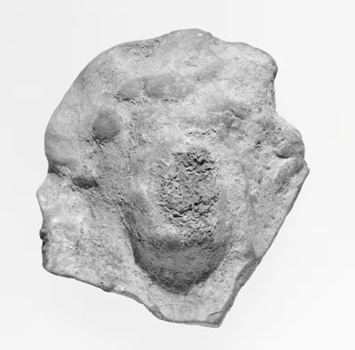 Female Head