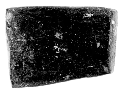 Chalice or Kantharos Handle Fragment