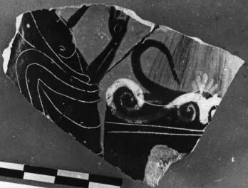 SKYPHOS, FRAGMENT (ATHENIAN, BLACK-FIGURE)