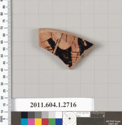 Terracotta fragment of a kylix (drinking cup)