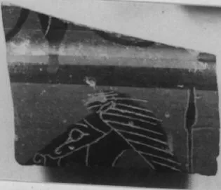 CUP, SIANA, FRAGMENT (ATHENIAN, BLACK-FIGURE)