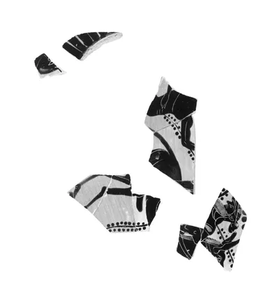 Attic Black-Figure Neck Amphora Fragments (6)