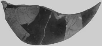 HYDRIA, FRAGMENTS (ATHENIAN, RED-FIGURE)
