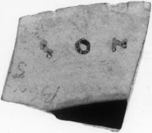 CUP, FRAGMENT (ATHENIAN, BLACK-FIGURE)