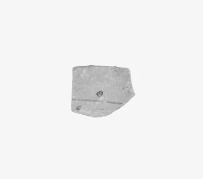 Attic Black-Figure Lip Cup Fragment