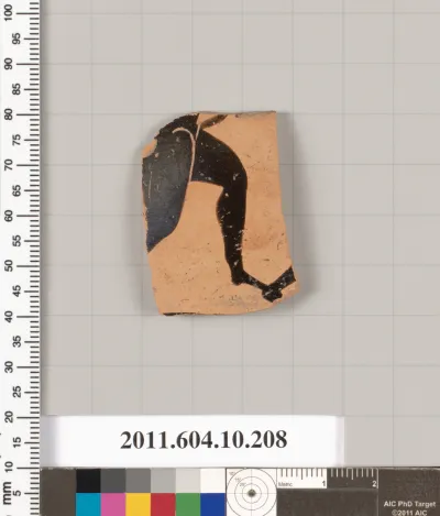 Terracotta fragment of an amphora (jar)