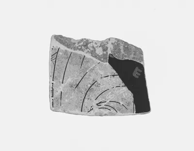 Red-Figure Skyphos Fragment (part of 93.AE.54)