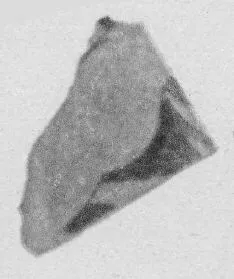 CUP, FRAGMENT (ATHENIAN, RED-FIGURE)