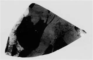 KRATER, BELL, FRAGMENT (ATHENIAN, RED-FIGURE)