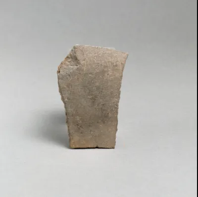 Vase fragment