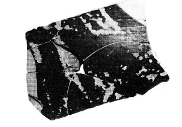 OINOCHOE, FRAGMENT (PROTOCORINTHIAN, BLACK-FIGURE)
