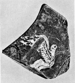 FRAGMENT (ATHENIAN, RED-FIGURE)