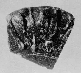 PLATE, FRAGMENT (TERRA SIGILLATA)