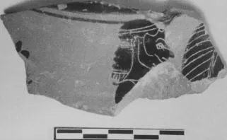 AMPHORA, BELLY, FRAGMENT (ATHENIAN, BLACK-FIGURE)